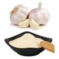 Hot sale natural Dehydrated Garlic Powder